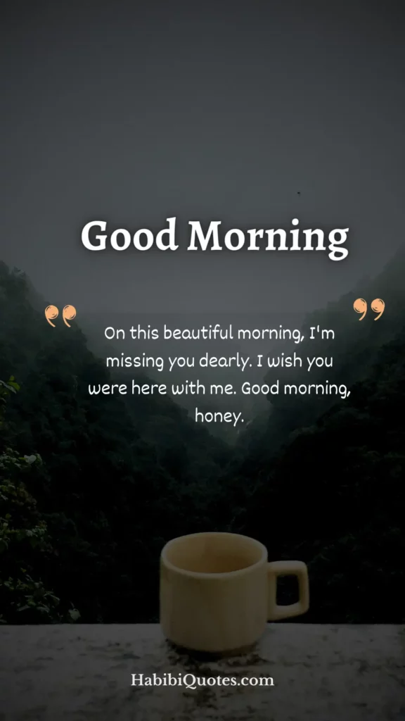 85+ Beautiful Good Morning Messages For Her Long Distance