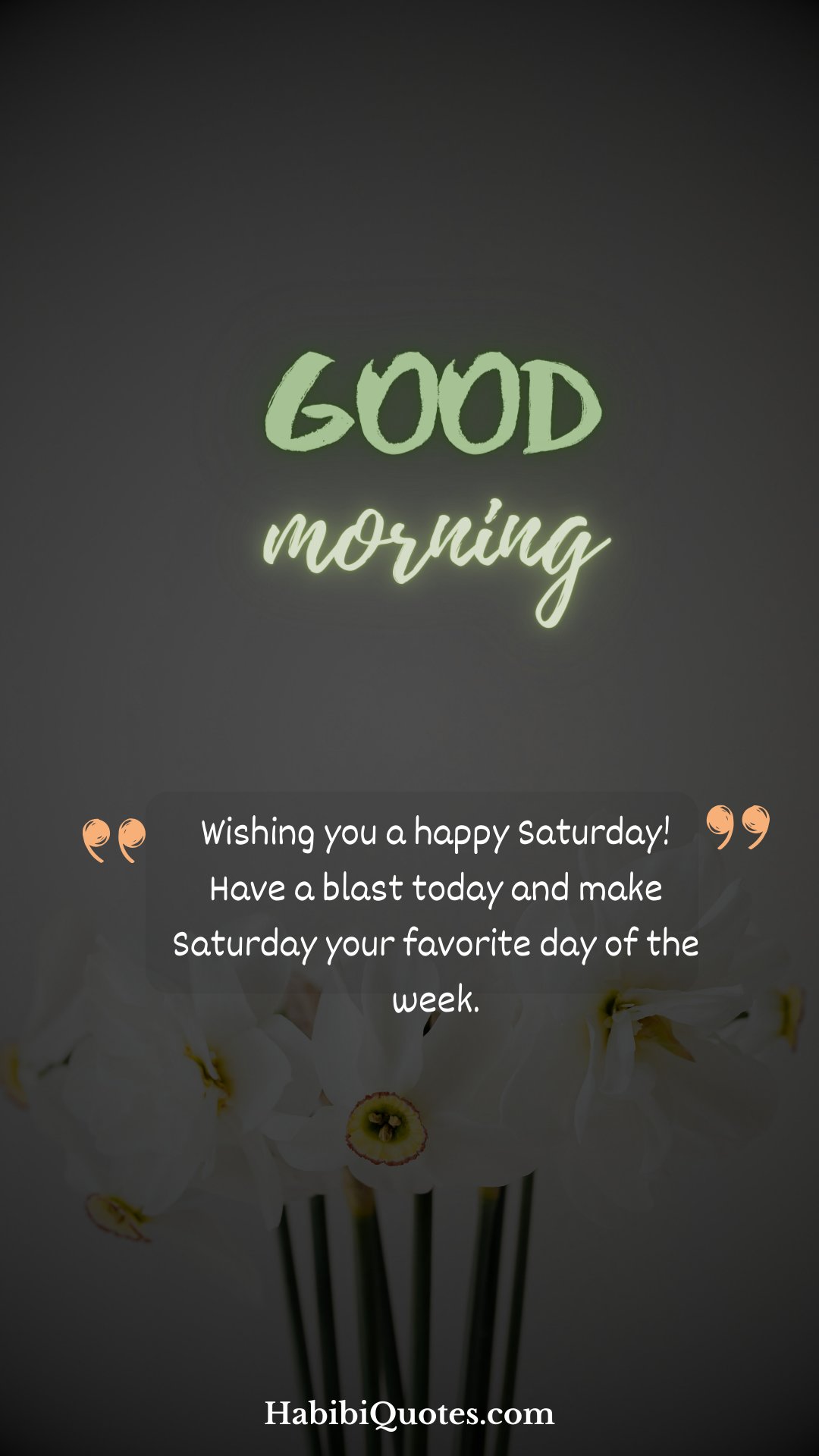 100+ Amazing Good Morning Messages