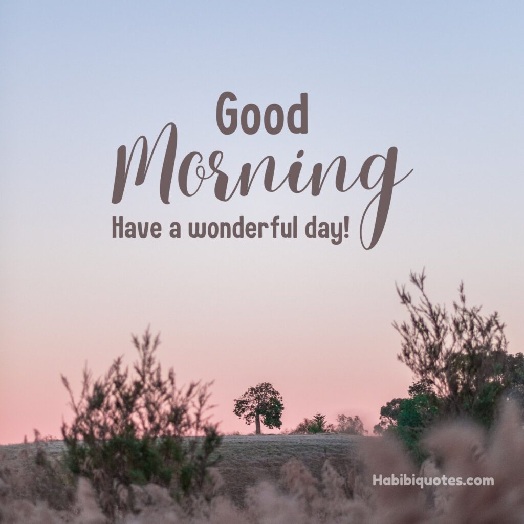 Good Morning HD Wallpaper For Android