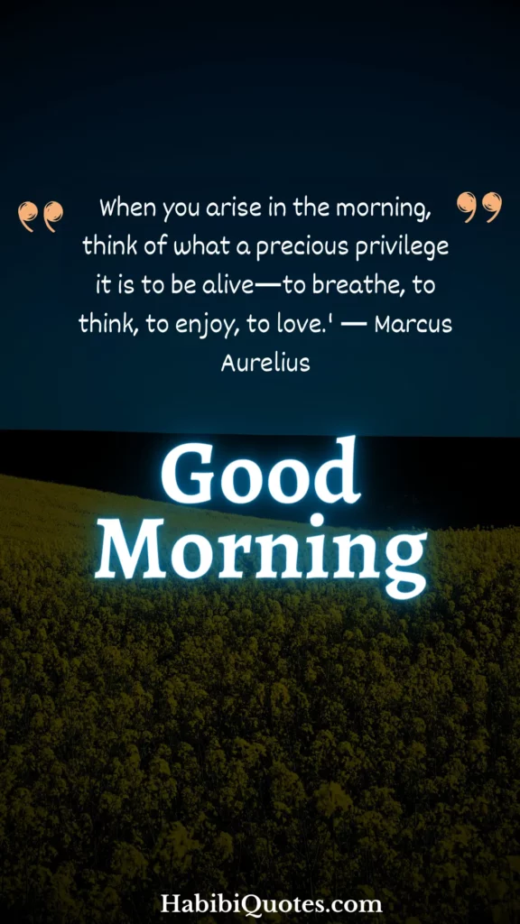 90 Amazing Good Morning Quotes To Brighten Your Day