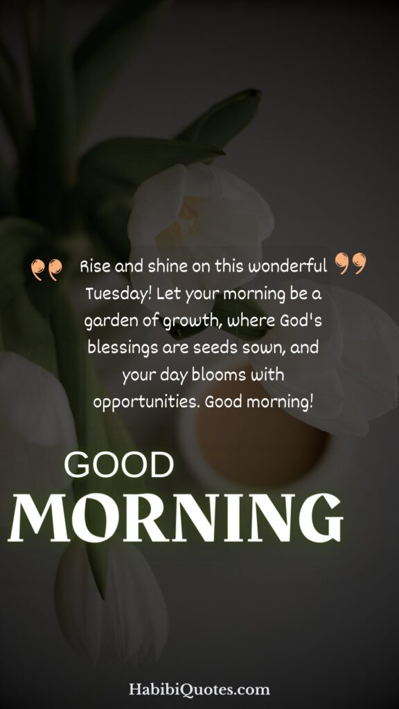 Inspirational Good Morning Tuesday SMS