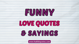 Funny Love Quotes Sayings