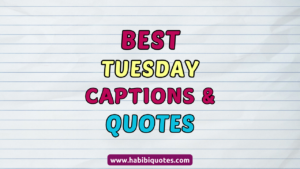 Best Tuesday Captions and Quotes