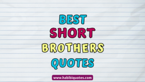 Short Quotes About Brothers